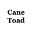 Cane Toad